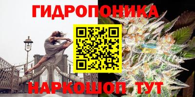 PSILOCYBIN Севастополь